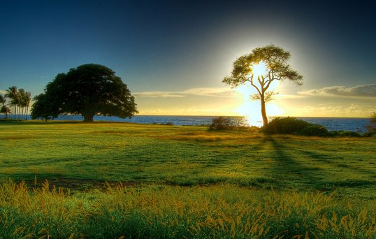 Lorem ipsum dolor sit amet, consectetur adipiscing elit