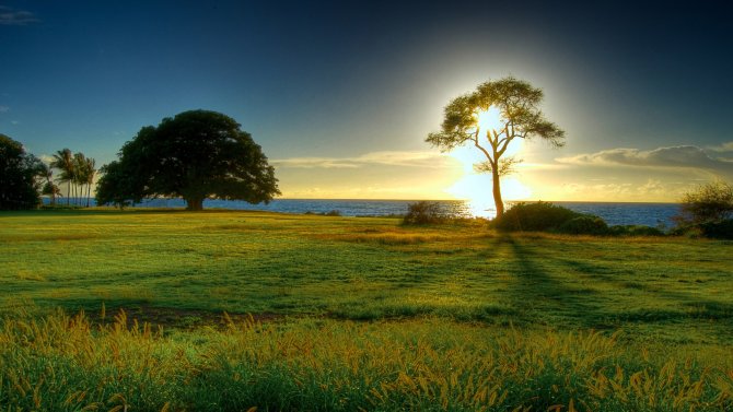 Lorem ipsum dolor sit amet, consectetur adipiscing elit